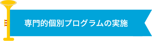 専門的個別プログラムの実施